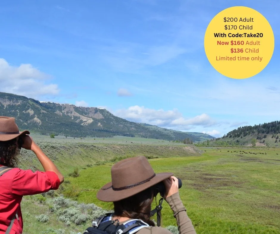 $200 Adult $170 Child With CodeTake20 Now $160 Adult $136 Child Limited time only.jpeg