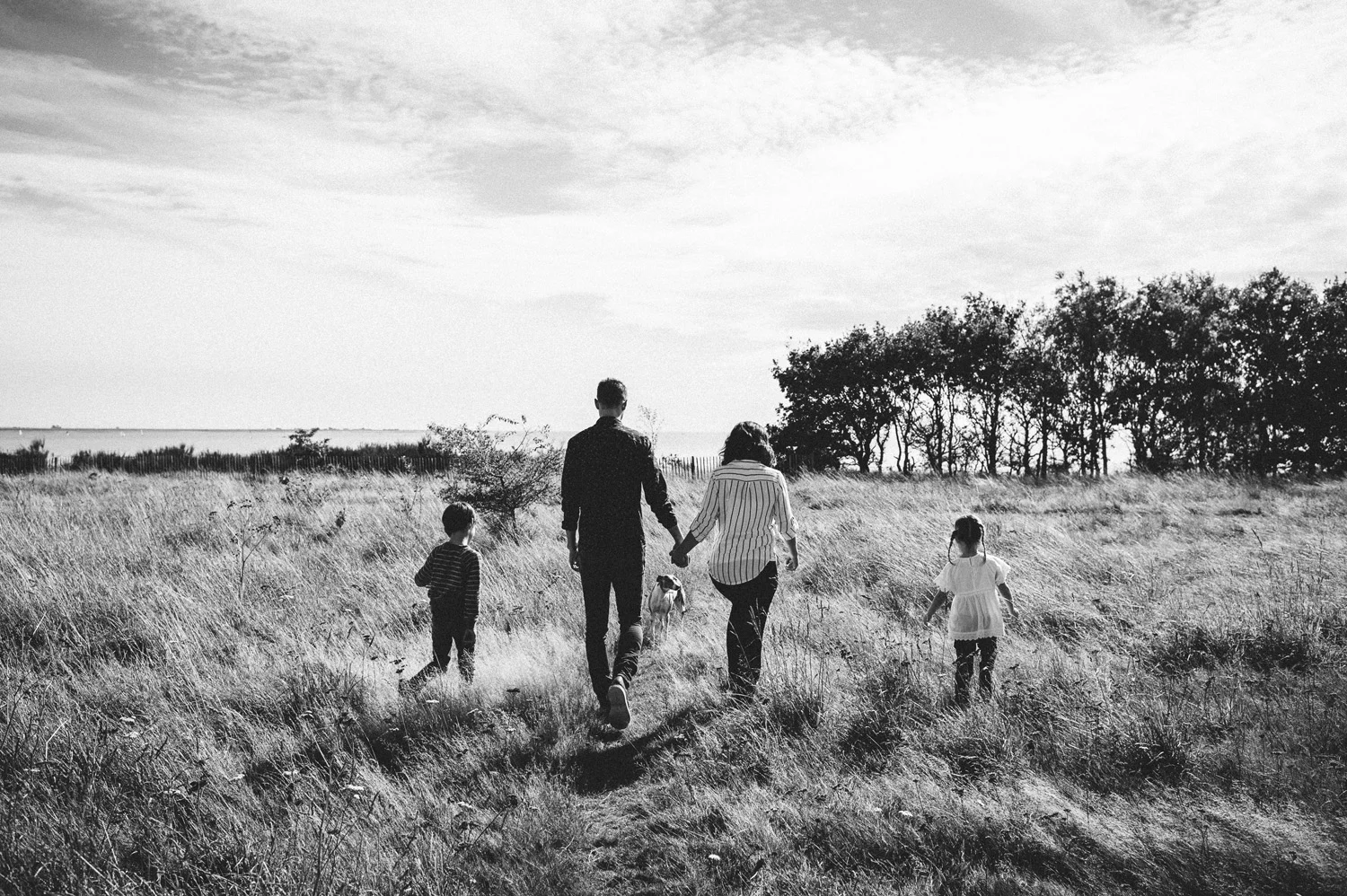 The Steers 020.jpg