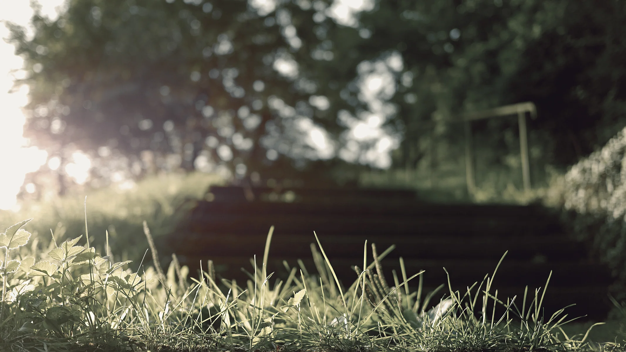 wood-stairs-nature-sun.jpg