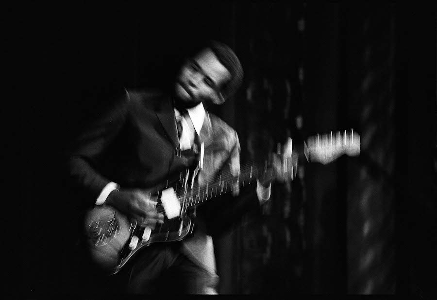 Barbee in Motion
