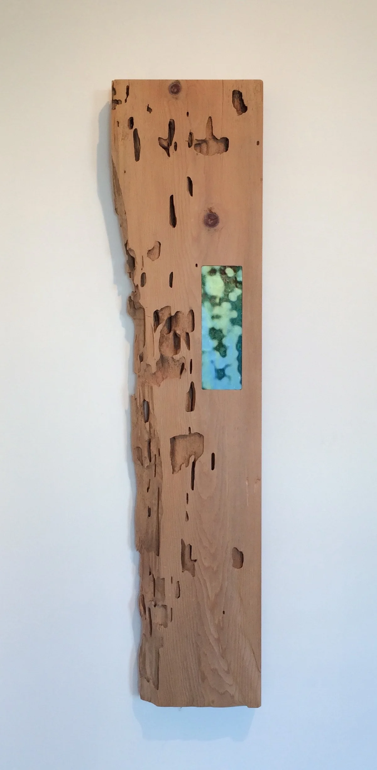 Wood Glass #1