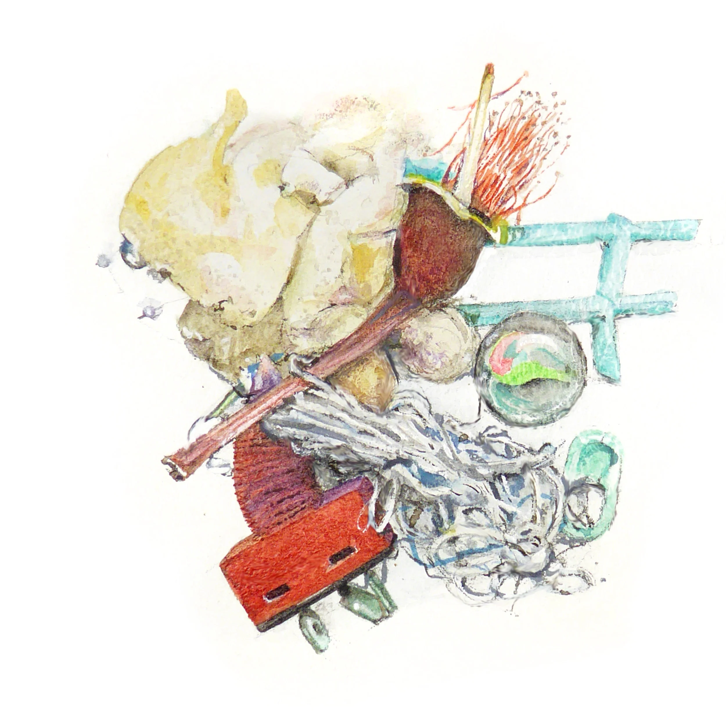 Organ Study 8