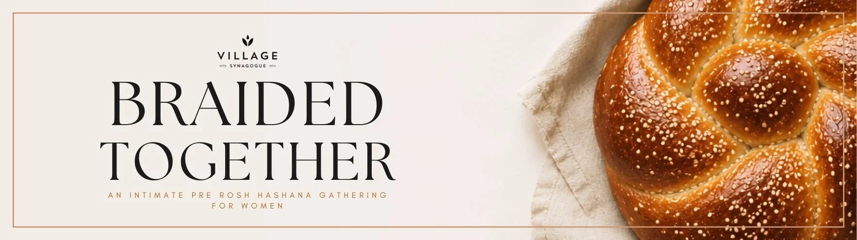 VS Home Page Banners.jpg