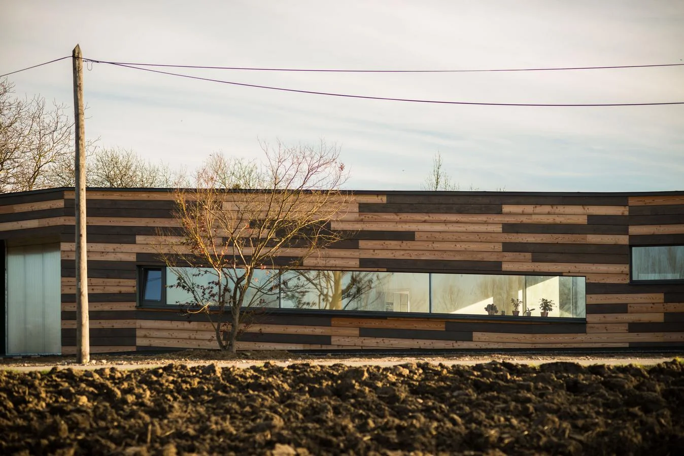 flach duckt sich das haus im wind und am feld - mit der umgebung soll es eins werden - die fassade aus zweifärbigen, horizontal gelegten lärchenholzbrettern, lässt das haus mit seiner umgebung verschmelzen. 