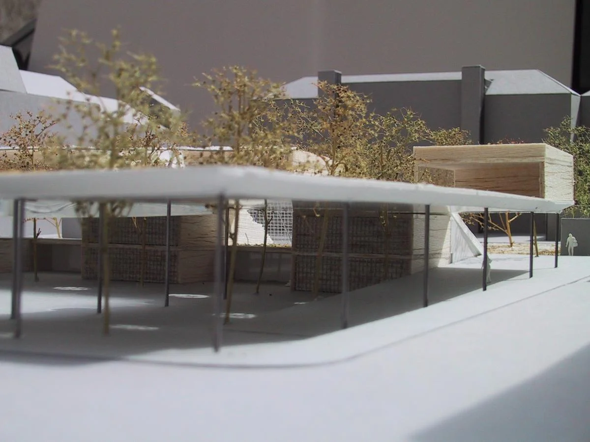  bäume durchstossen das dach - im bad bewegen sich die kinder auf der höhe der baumkronen - man könnte baumhäuser bauen - am hofferplatz... 