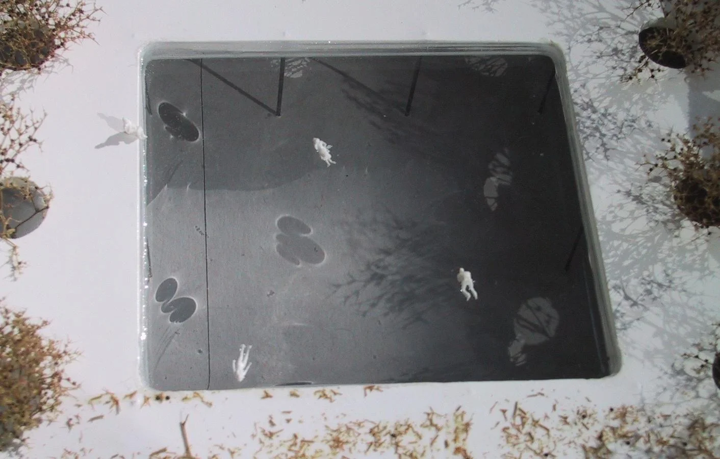  das  herzstück des platzes ist das schwimmbecken mit einem transparenten boden &nbsp;- es wird beleuchtungskörper für die darunterliegende bewegungsebene, und macht den hofferplatz zu einem unverwechselbaren ort. skateboarden, rollschuhfahren, radfa