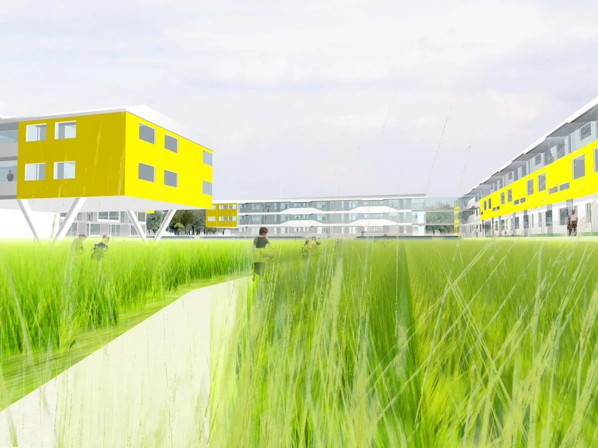  das bäckerfeld soll weiterhin die identidät der unmittelbaren umgebung bleiben. deswegen wird der hof, sozusagen die freie mitte der anlage, als  feld  gestaltet. da eine bepflanzung mit getreide in der pflege zu aufwändig wäre, wird eine bepflanzun
