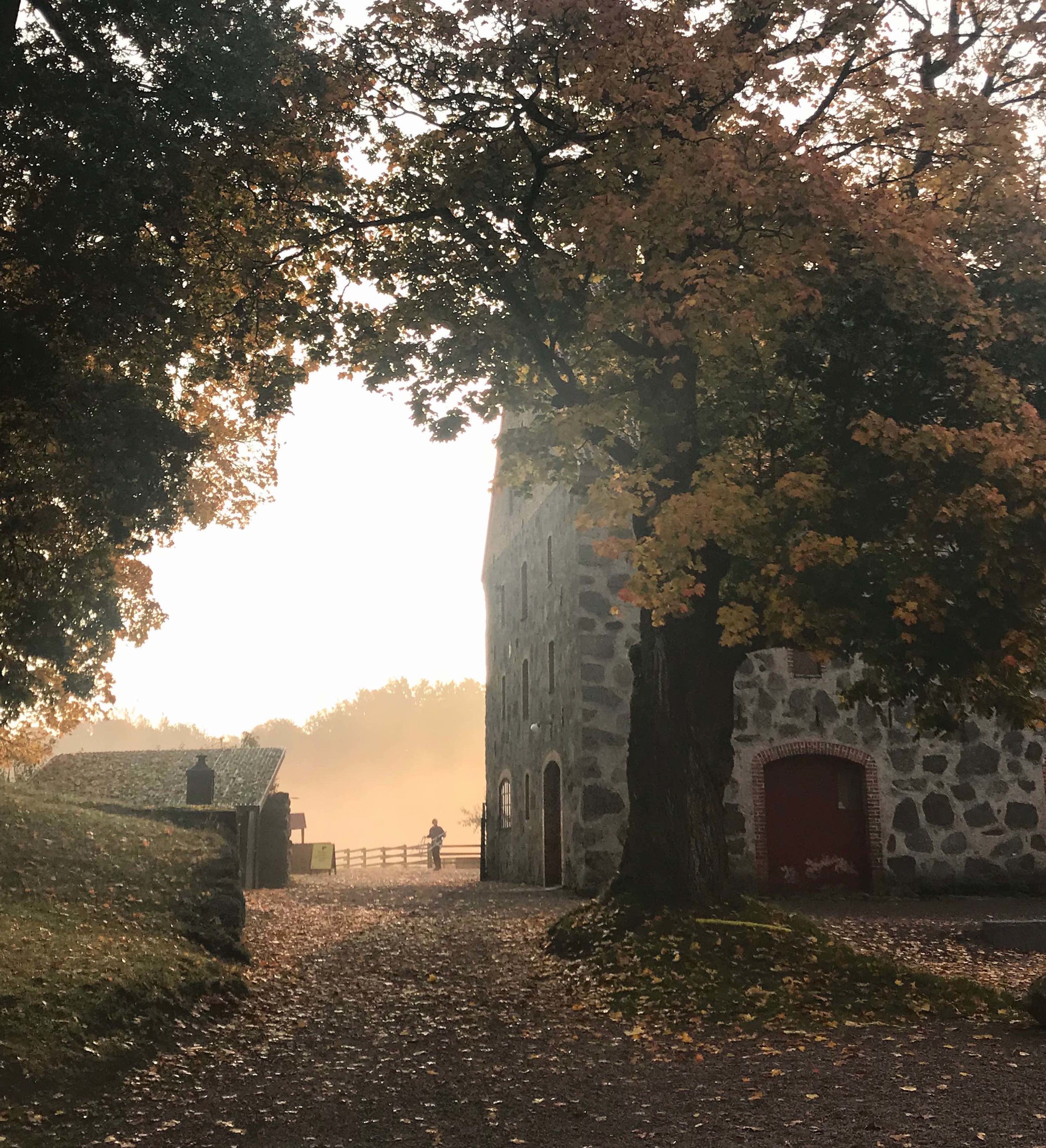 Barn_fall.jpg