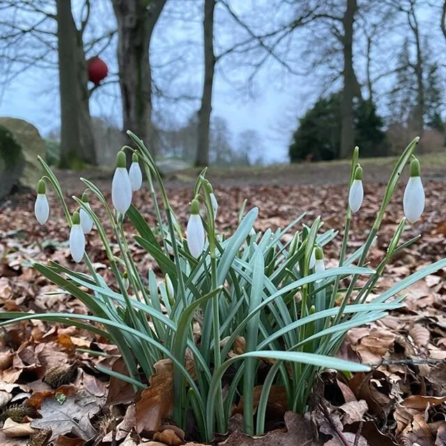 Spring is in the air🌱 Now we have both snowdrops and art in the park. Anne Thulin, "Double Dribble", 2010
#wanas #wanås #wanasrestauranthotel #wanåsrestauranthotel #hideaway #smallhotelsinthecountryside #boutiquehotels #gastro