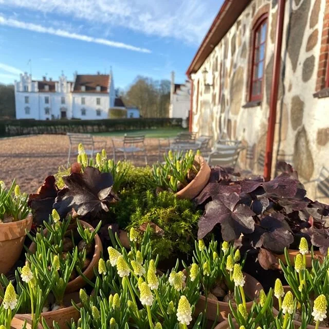 Dear Wanåslovers
We follow the development in detail and act in accordance with the information from the Public Health Authority and the government convey regarding current risks around Corona / Covid-19.
As a hotel and restaurant business, goo