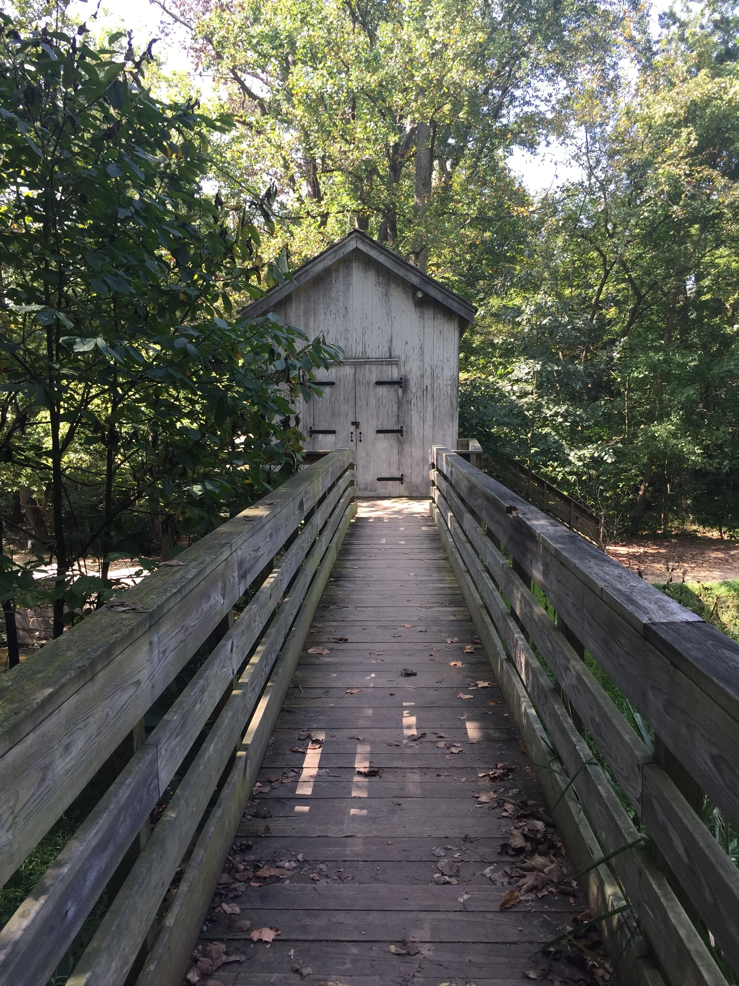 File Oct 04, 2 52 15 PM.jpeg