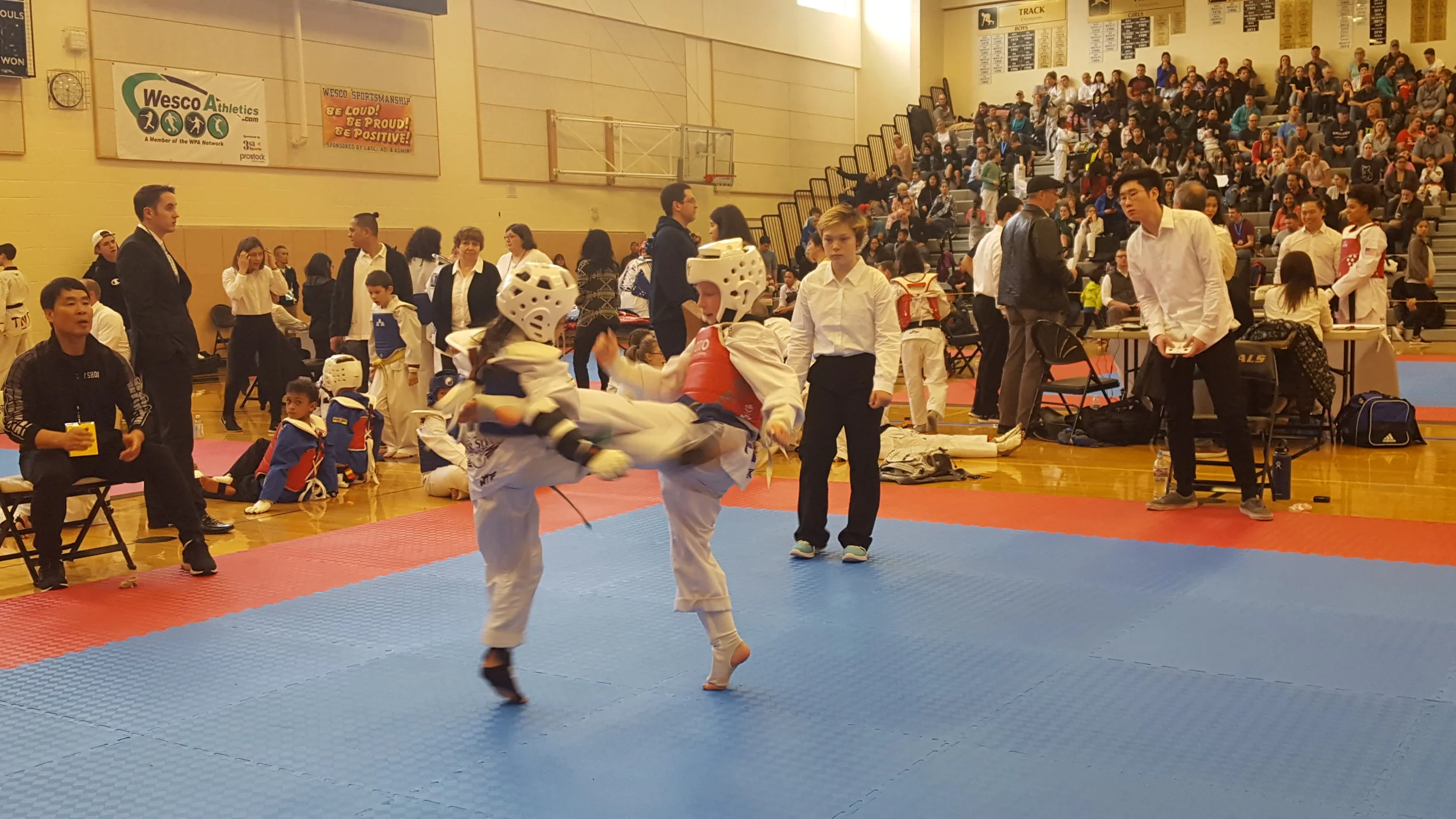 Taekwondo Competition