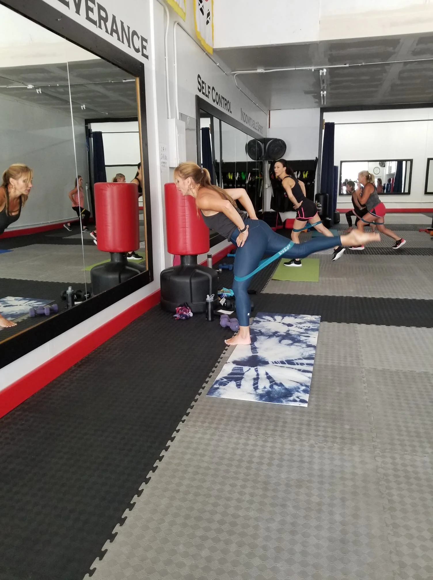 Hatha Yoga, and Dance Tone Classes