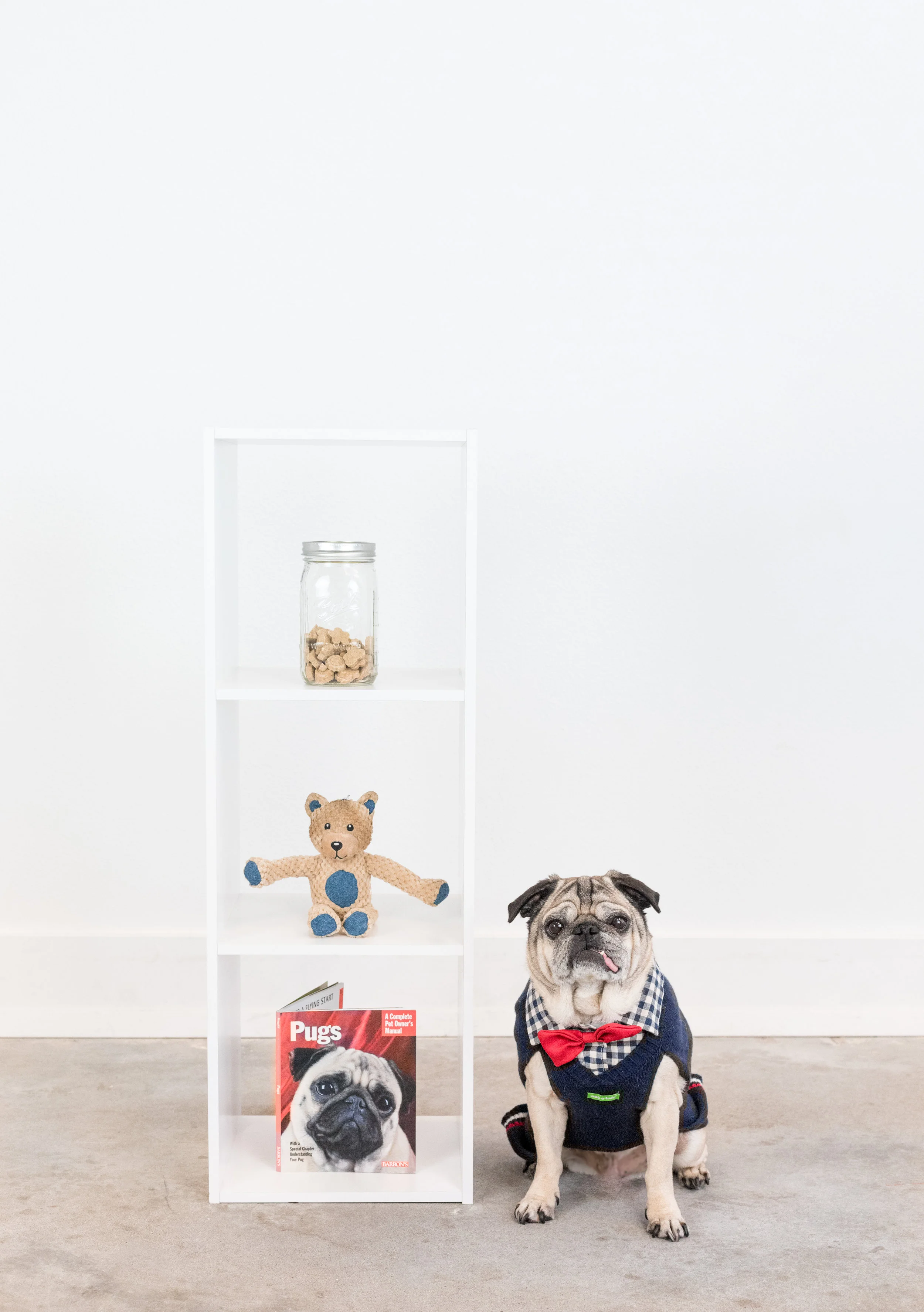 Burt and his most prized possessions. Photo credit: Katie Haster