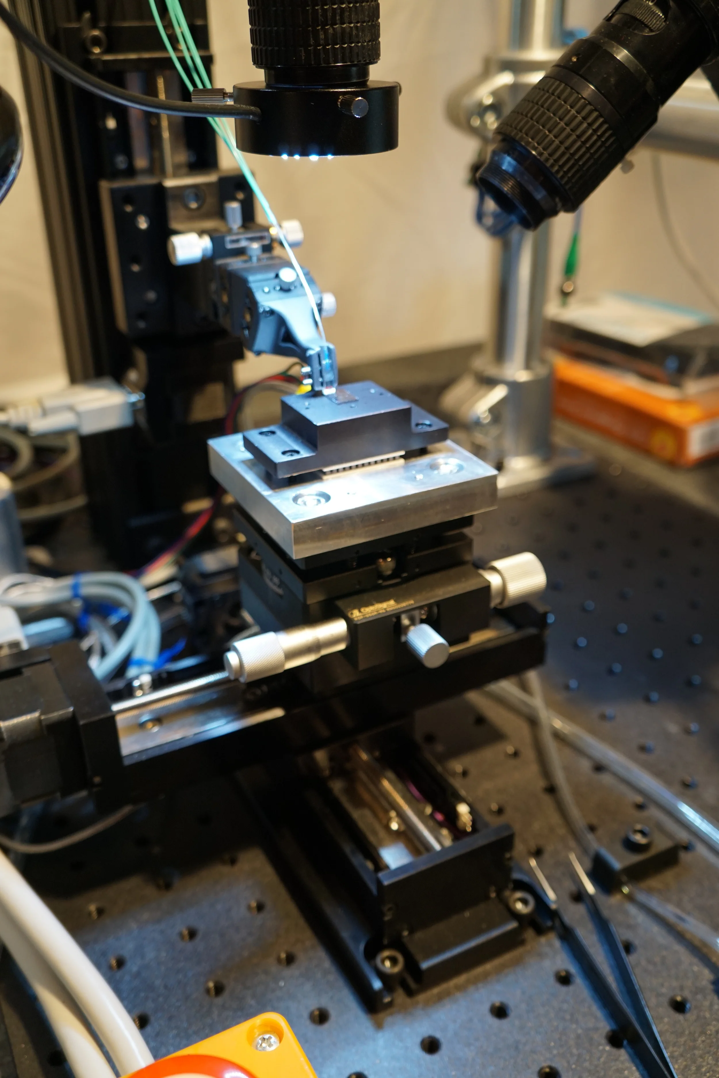 Silicon Photonic Testing Maple Leaf Photonics
