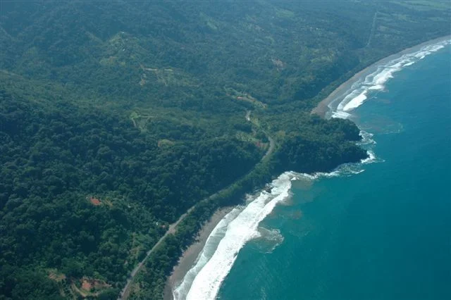 aerial of punta achiote.jpg