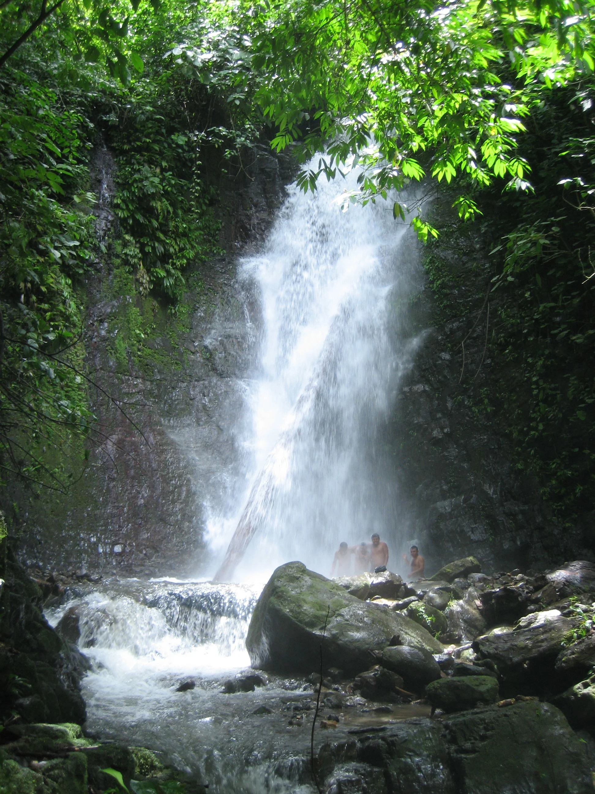 Jungle Nest water fall.jpg