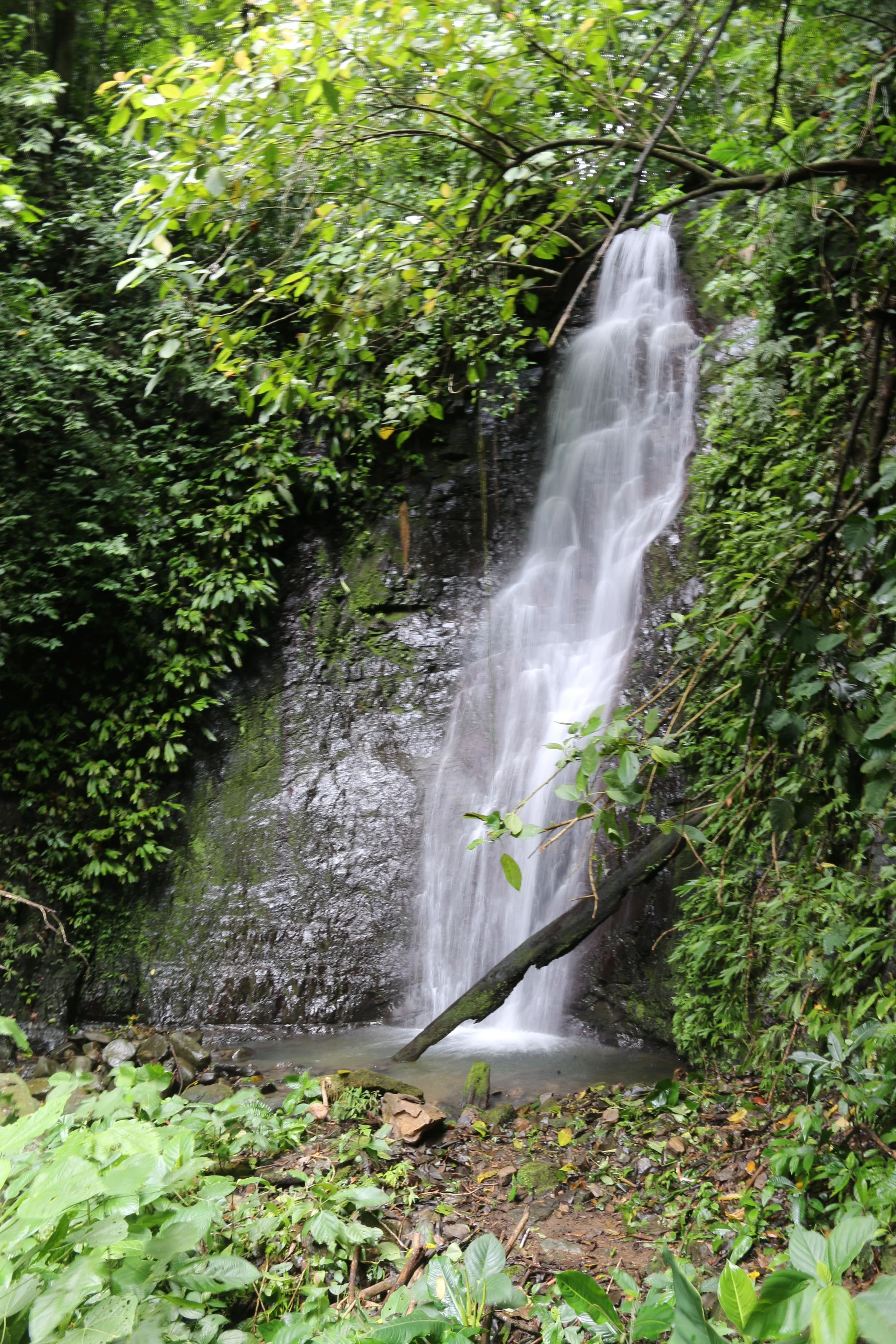 Waterfall.jpg