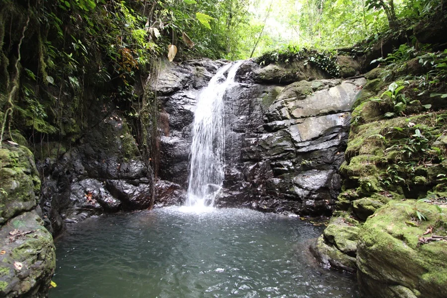 small water fall.jpg
