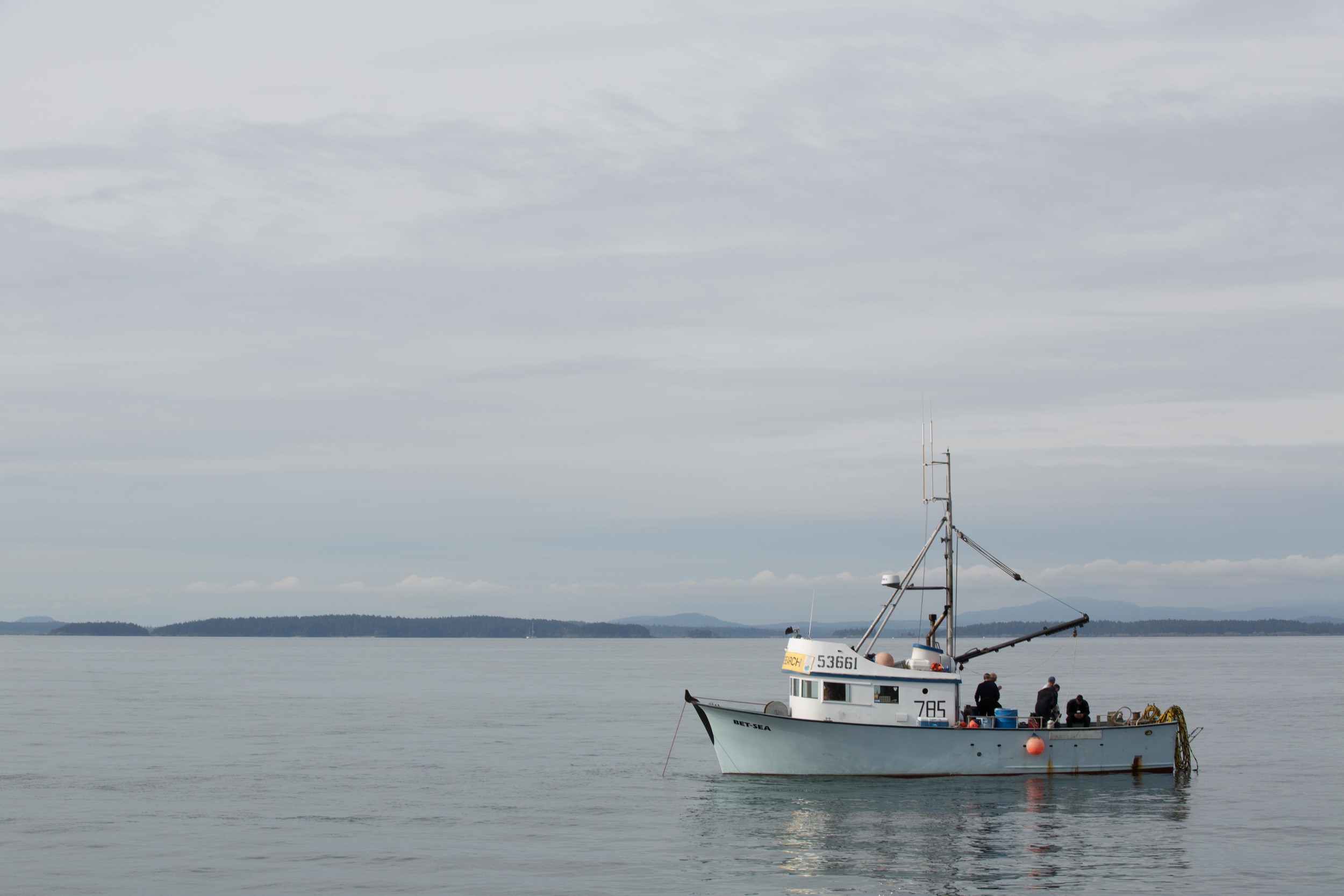  On-site preparing to dive 