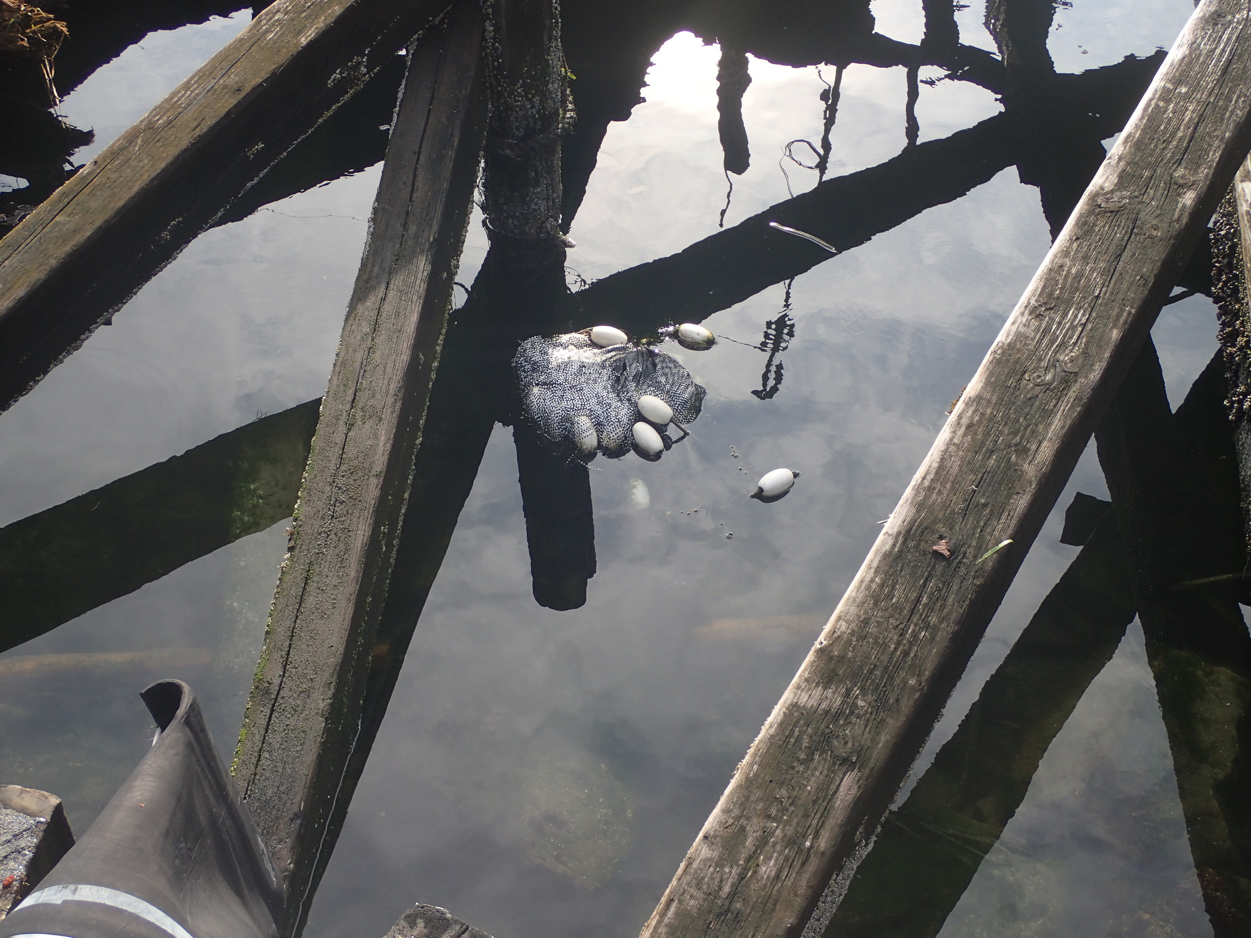 Lost net at high tide