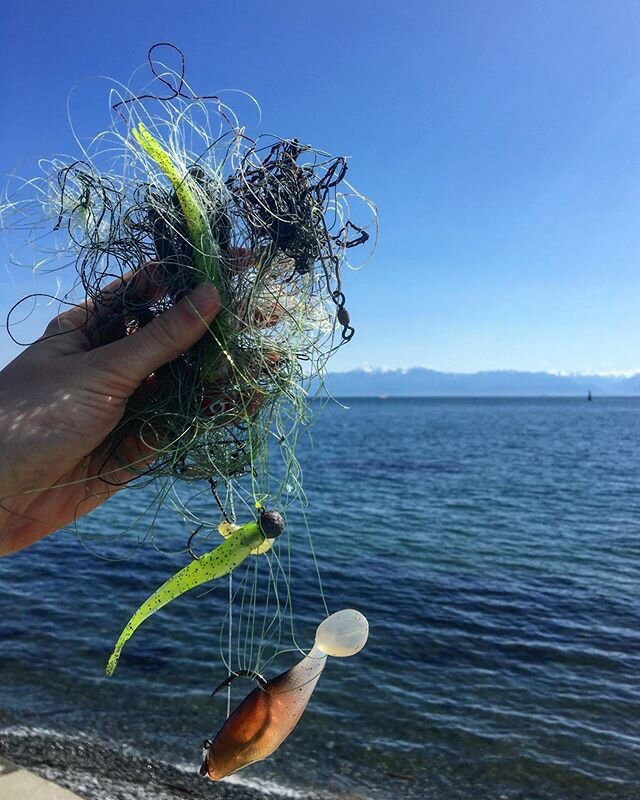 A quick haul from a short dive off of the Ogden Point Breakwater in Victoria, BC. It&rsquo;s a popular spot for recreational fishing, but most folks probably don&rsquo;t get to see the criss-crossed web of lost lines all along the bottom, snagging al