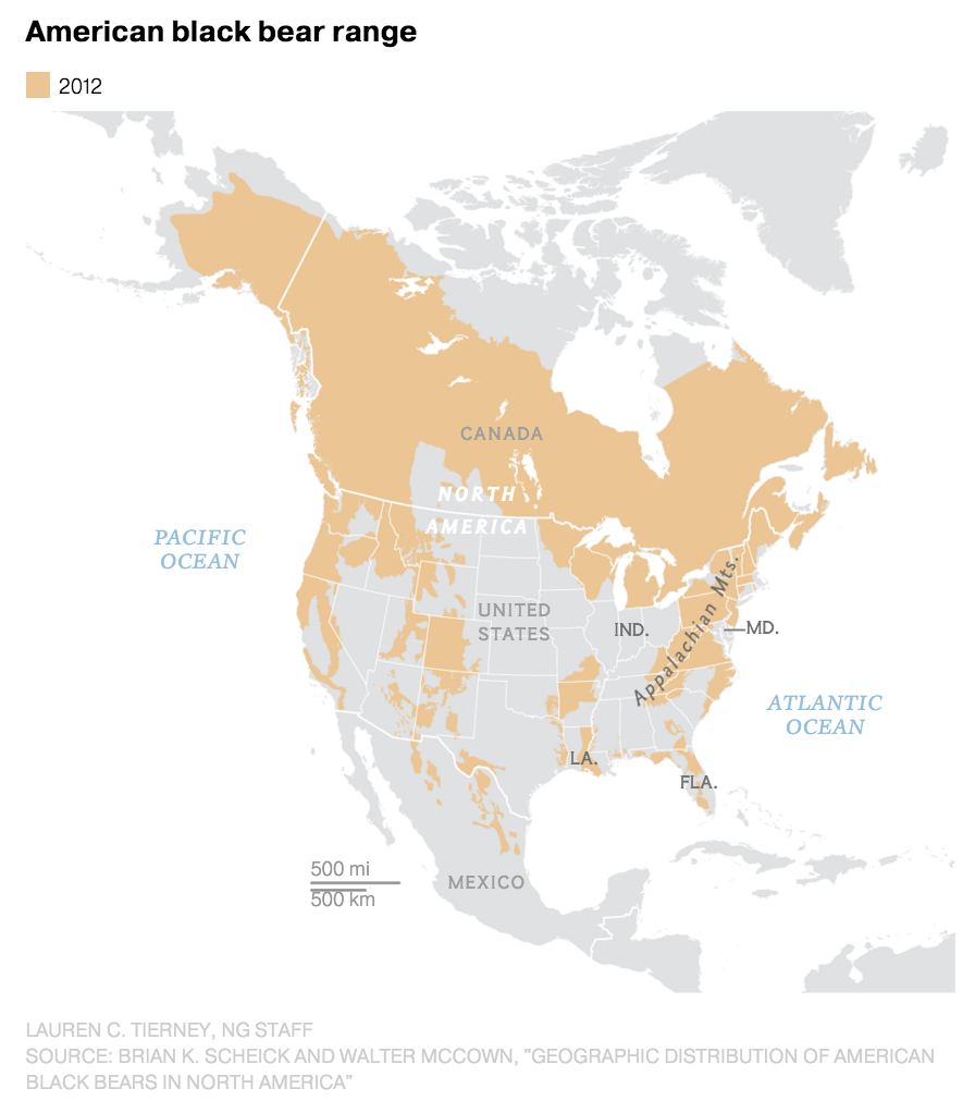 American Black Bear Range