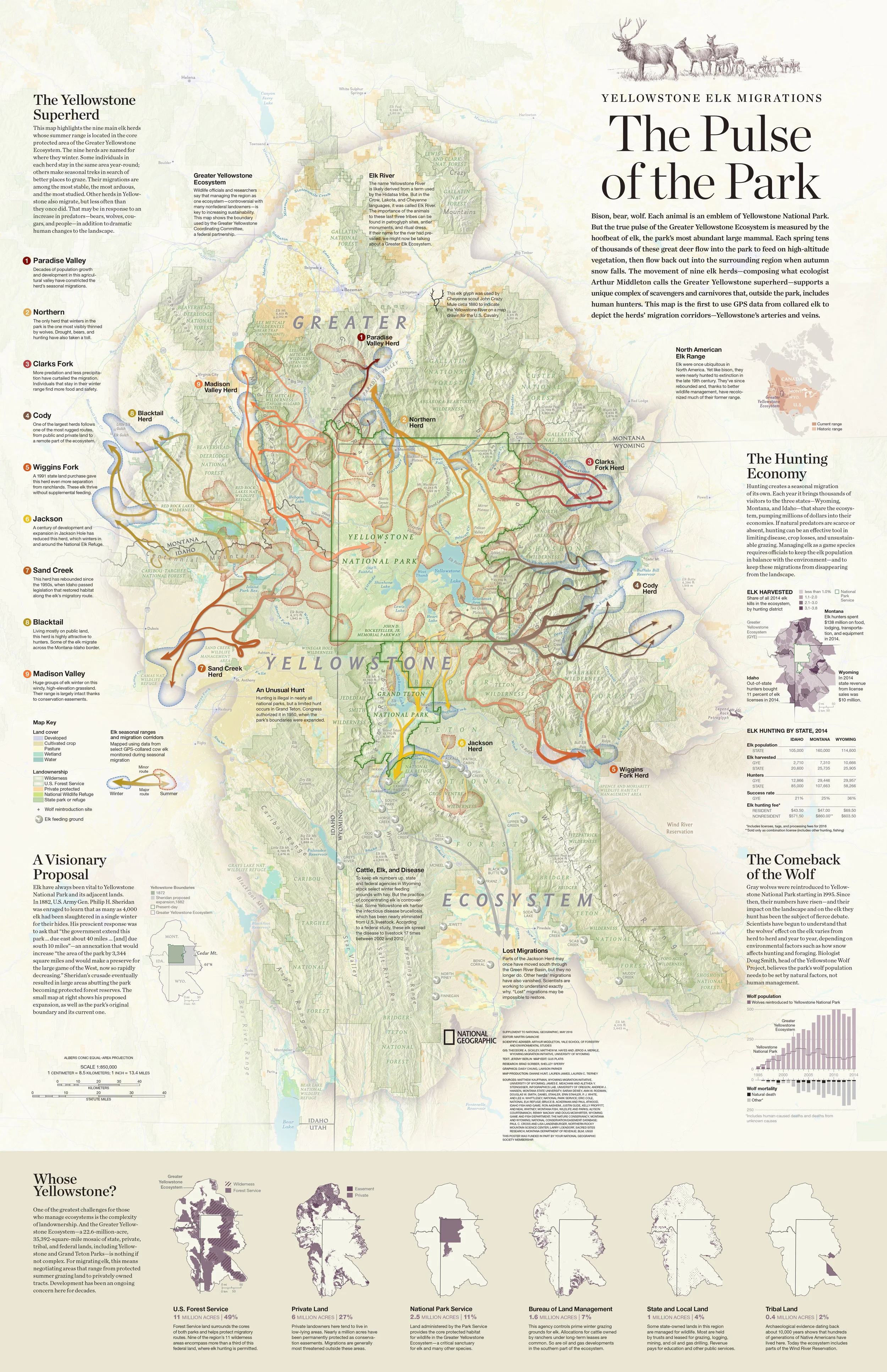 The Pulse of the Park