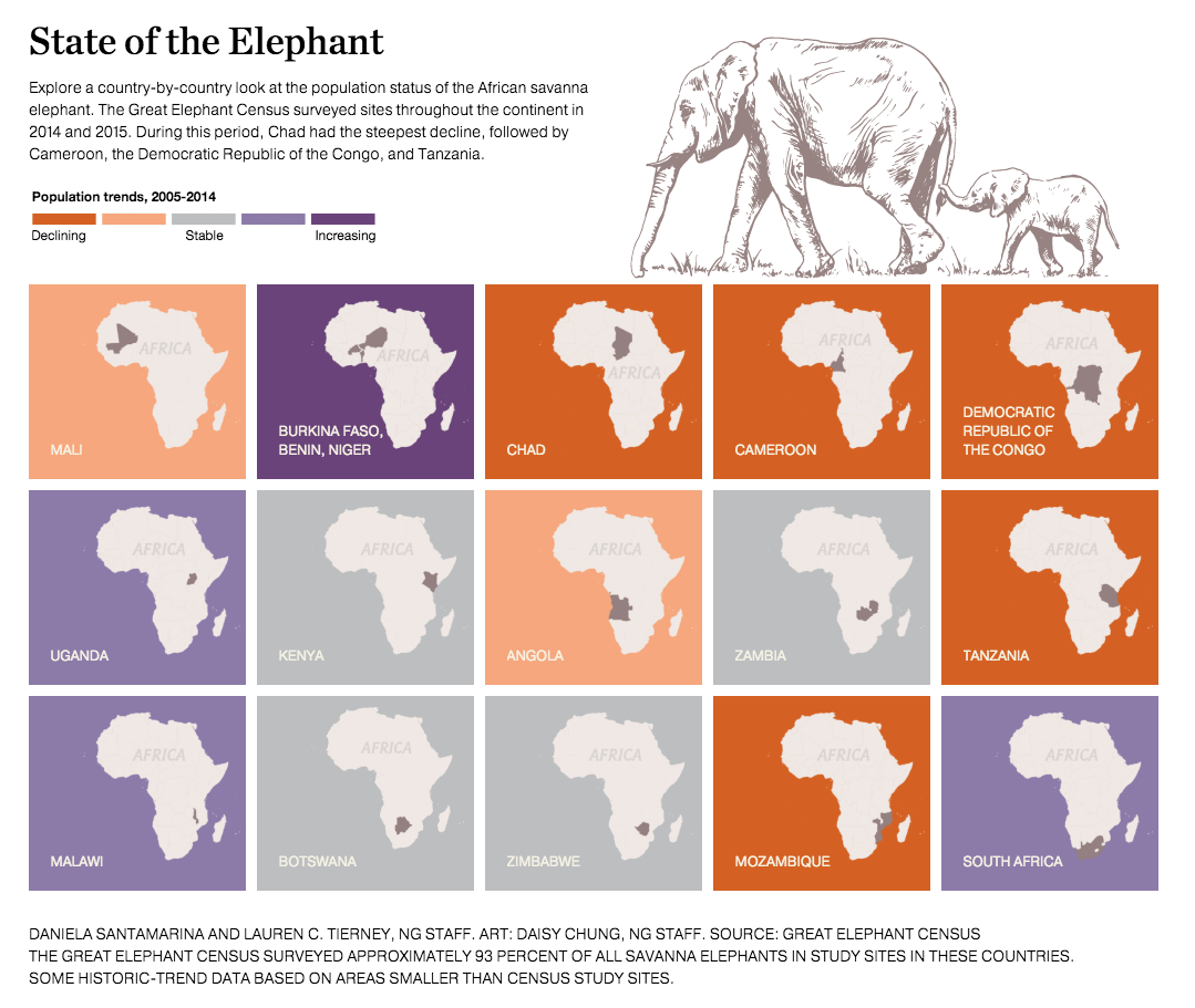 State of the Elephant (Interactive)