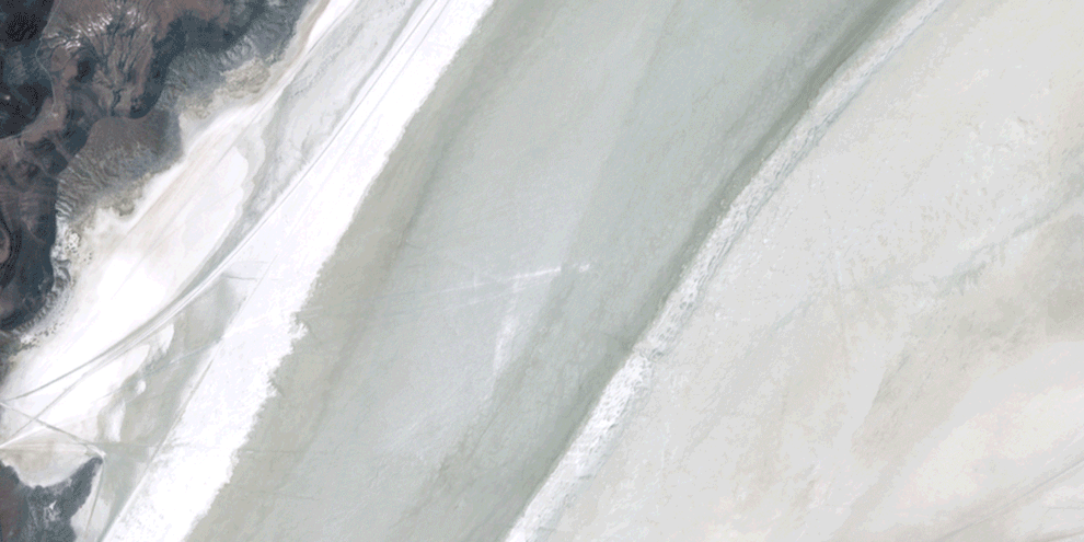 The rise of Burning Man