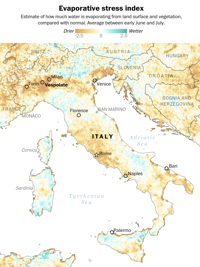  A drought in Italy’s risotto heartland is killing the rice