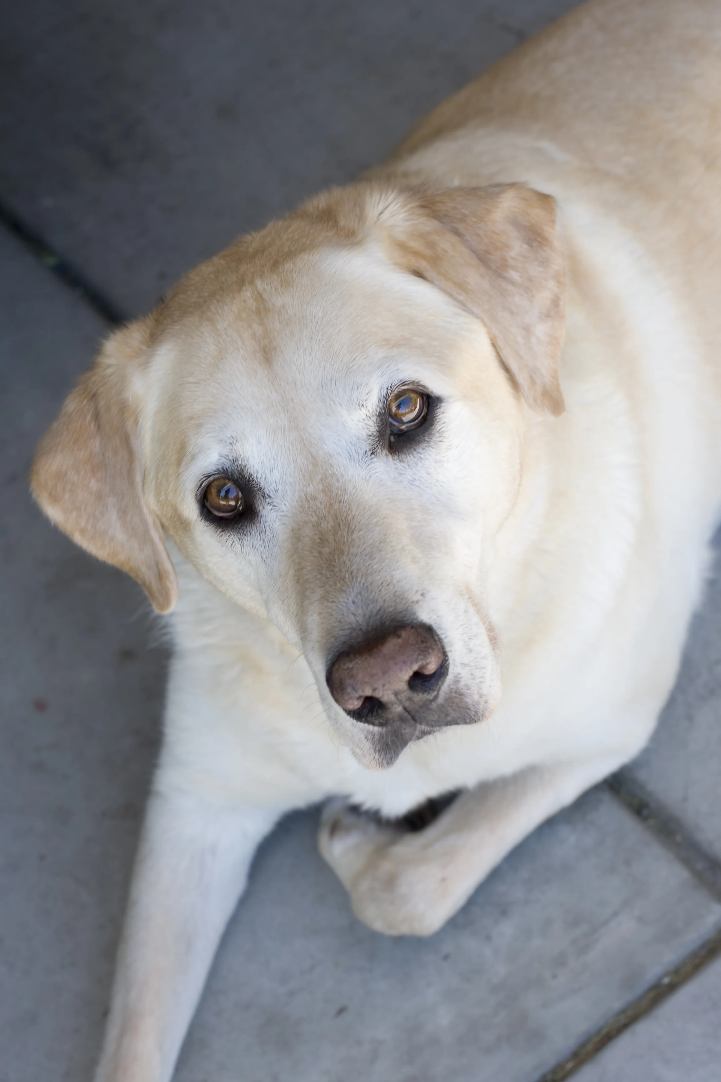 Fred 2015 4x6cpy05.jpg