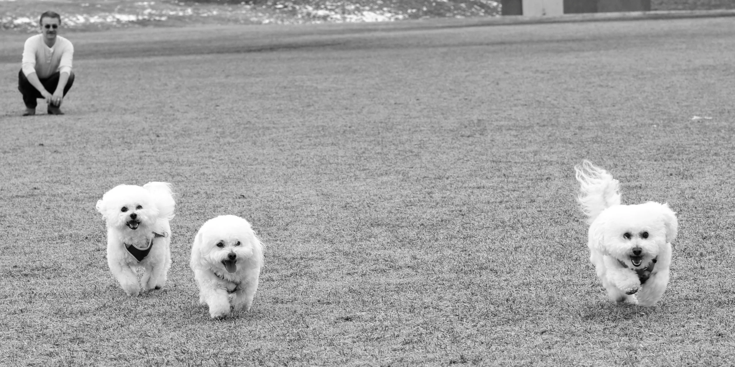 _DSC4162bw.jpg
