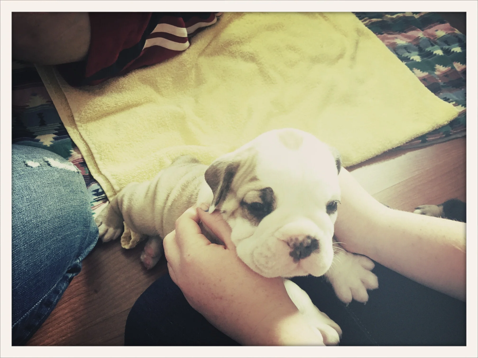 Cross Process