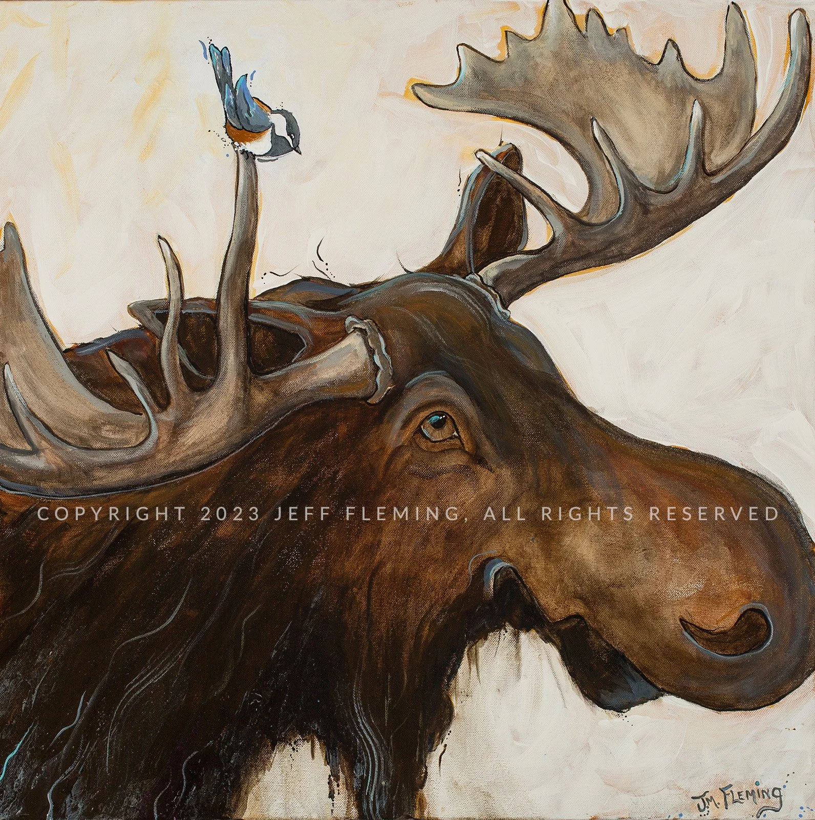 Friendly Moose_copyright.jpg