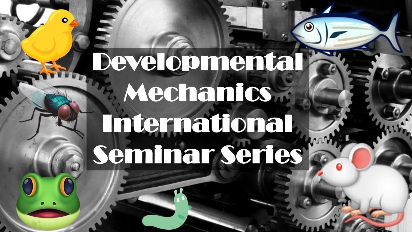      

 
   Karen gave a talk in the Developmental Mechanics International Seminar Series. A very big thank you to Ronen Zaidel-Bar for organizing such a superb seminar series and for the invitation to be part of it!   
 






















    

