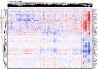 Screen Shot 2019-01-18 at 4.54.52 PM.png