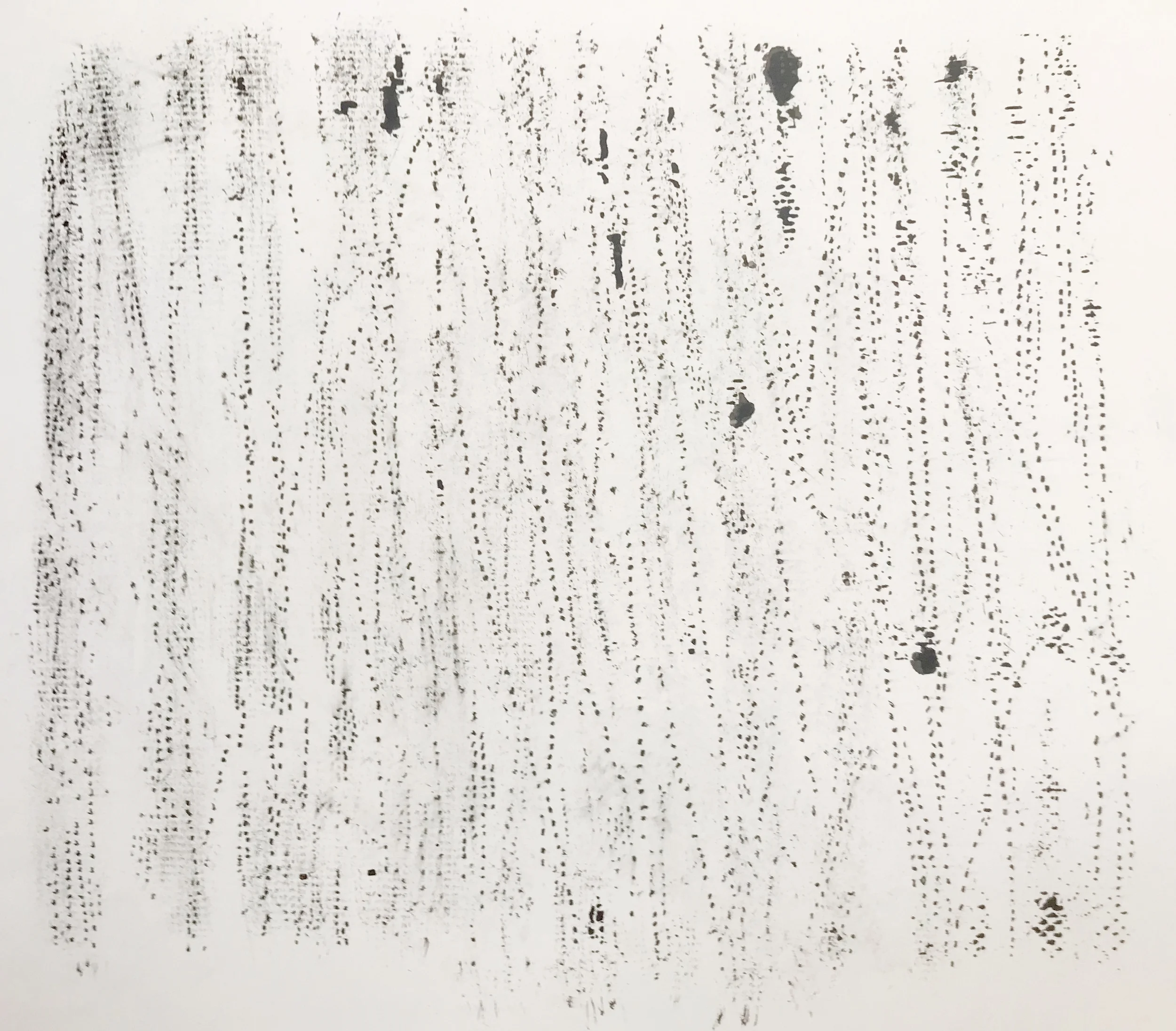 Window Screen Imprint (2017)