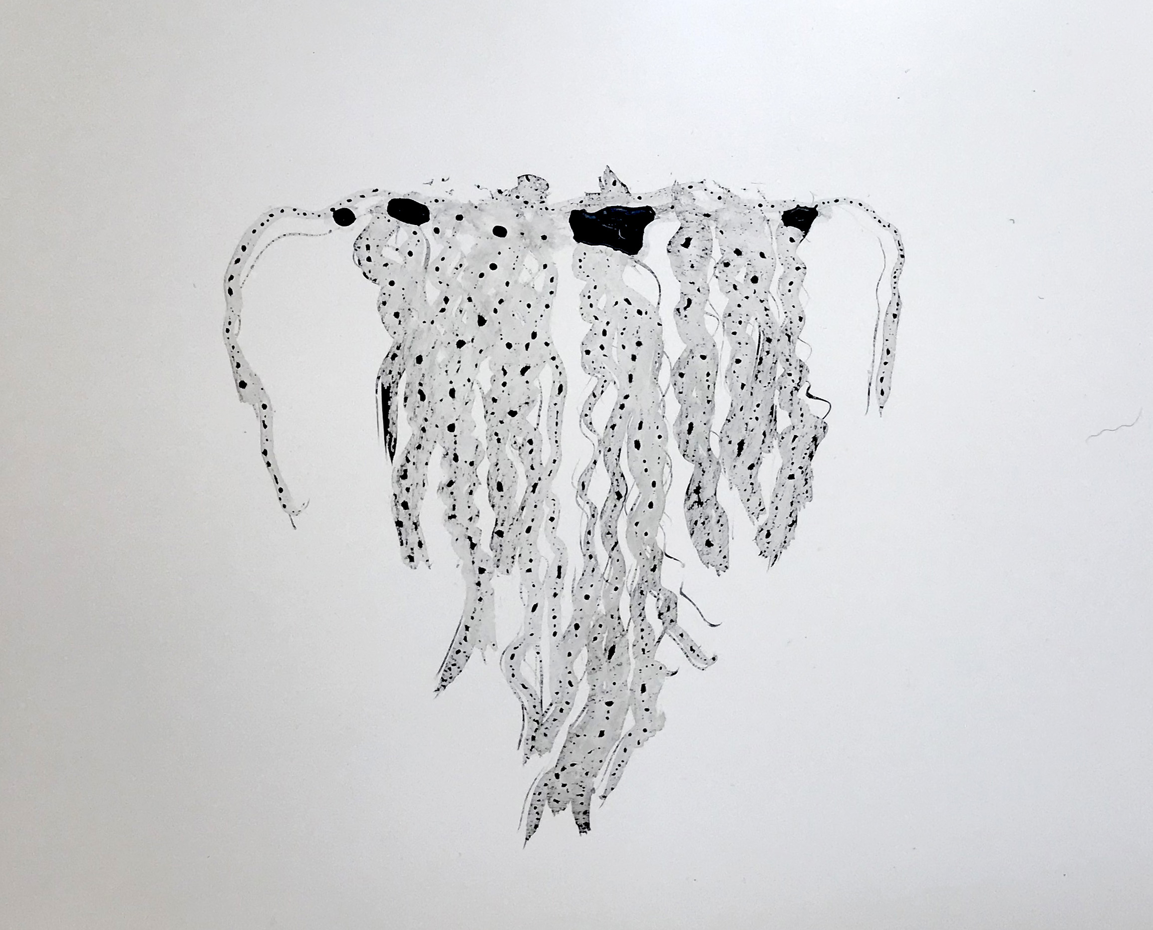 Root inklings (detail)