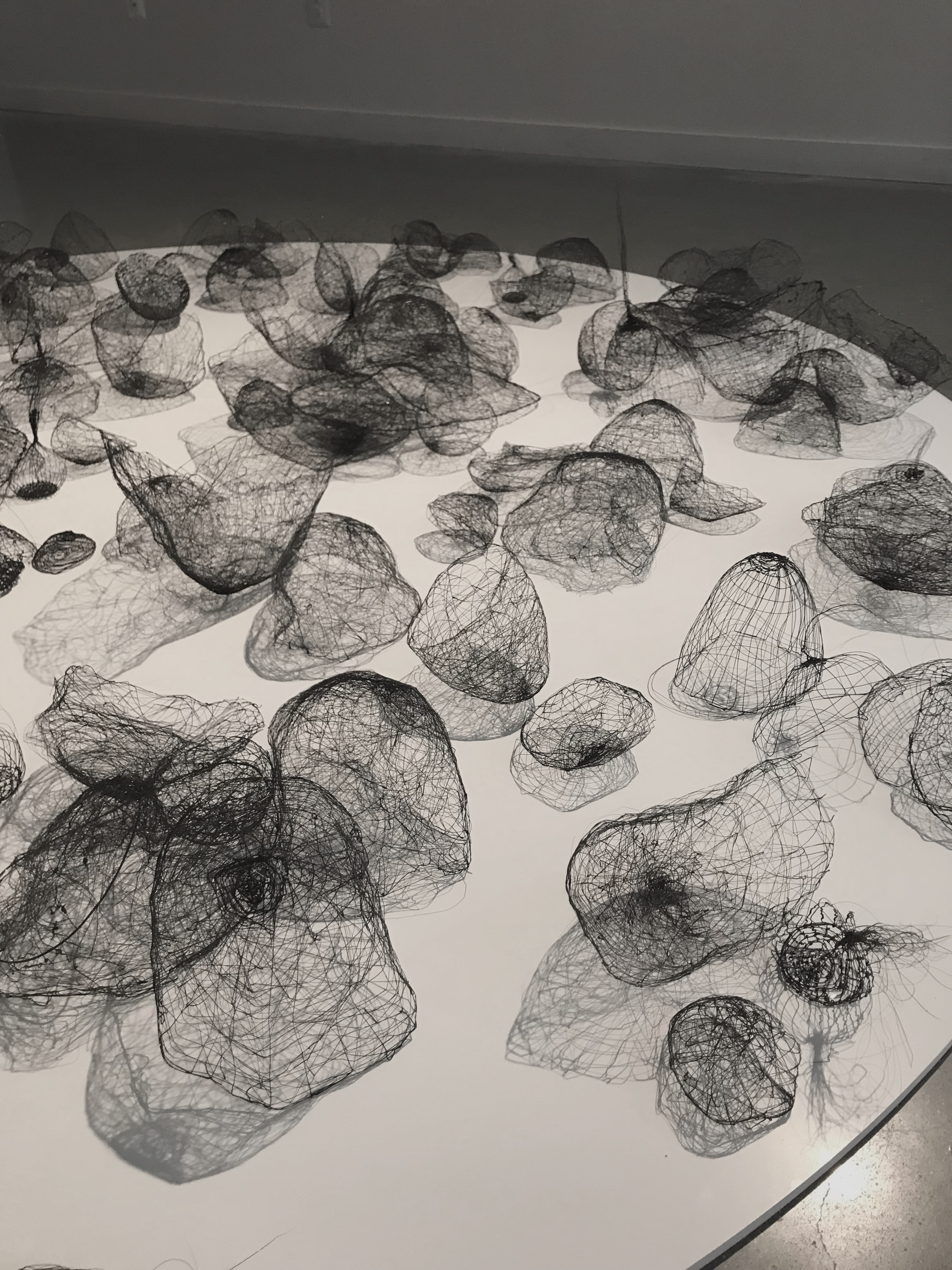 Exhibition: "Beneath my lawn," Common Grounds Gallery, VisArts, Rockville, Maryland (December 2018-January 2019)