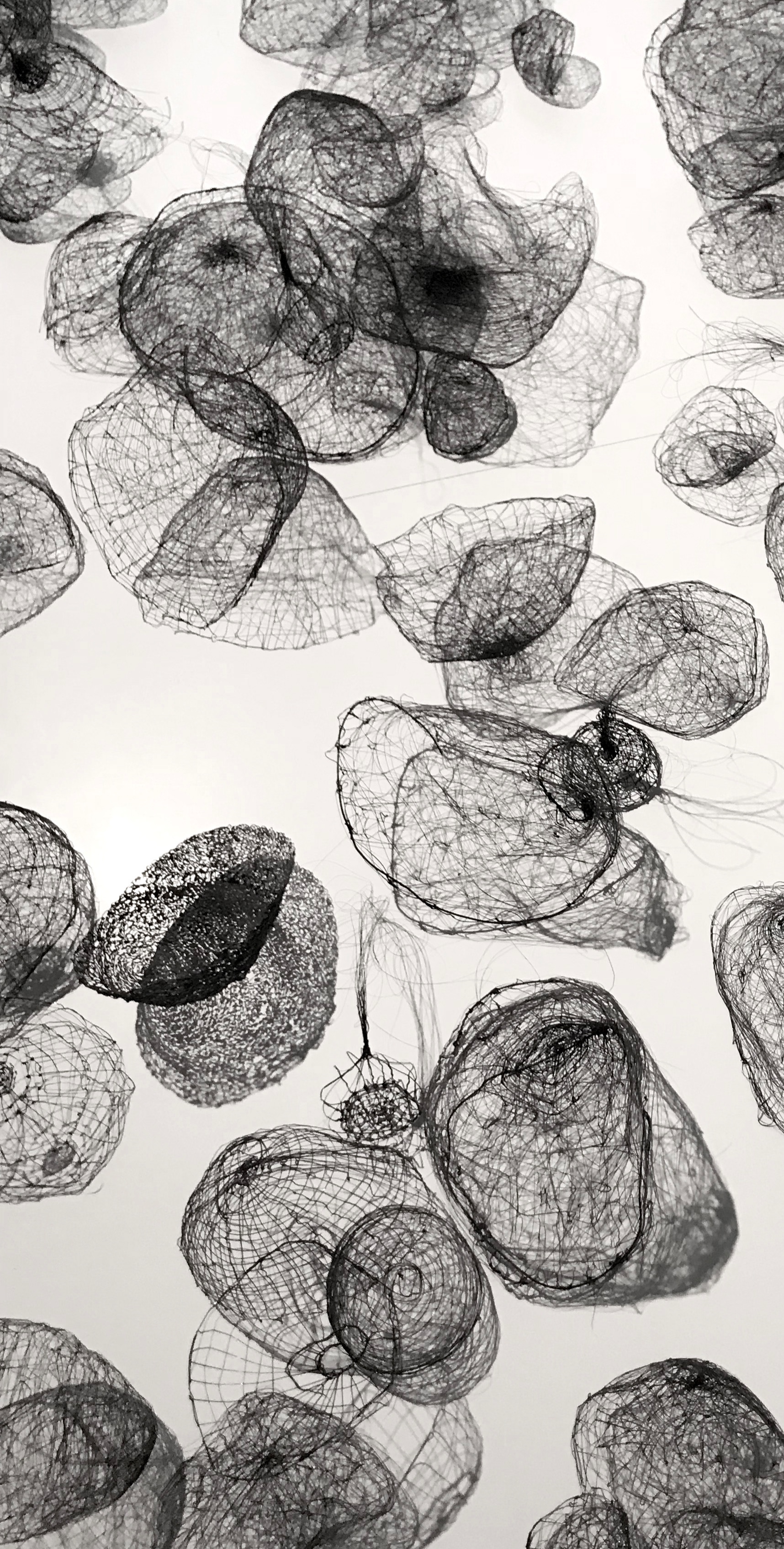Beneath my lawn (detail)