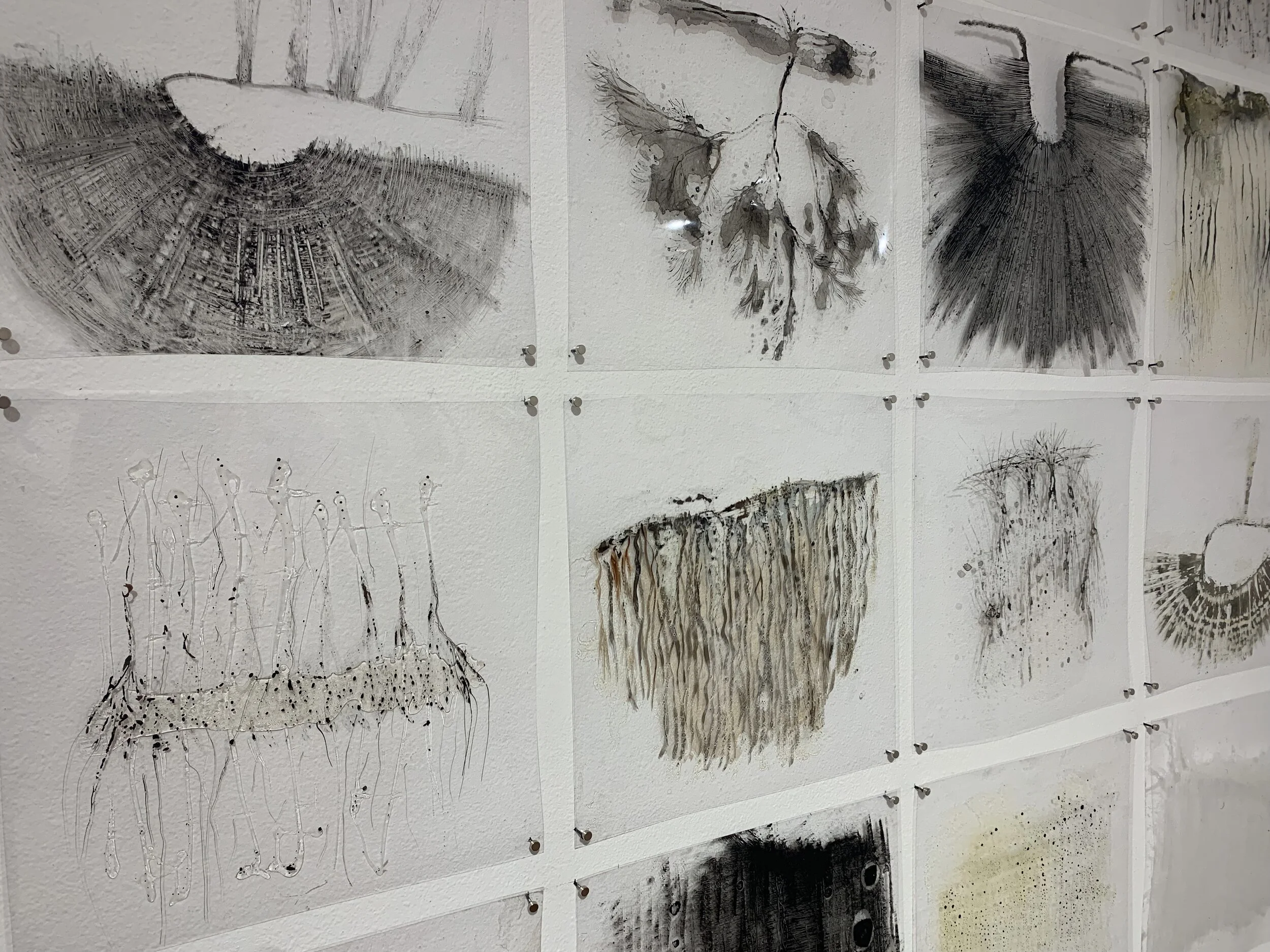 Knots, fractals and roots 