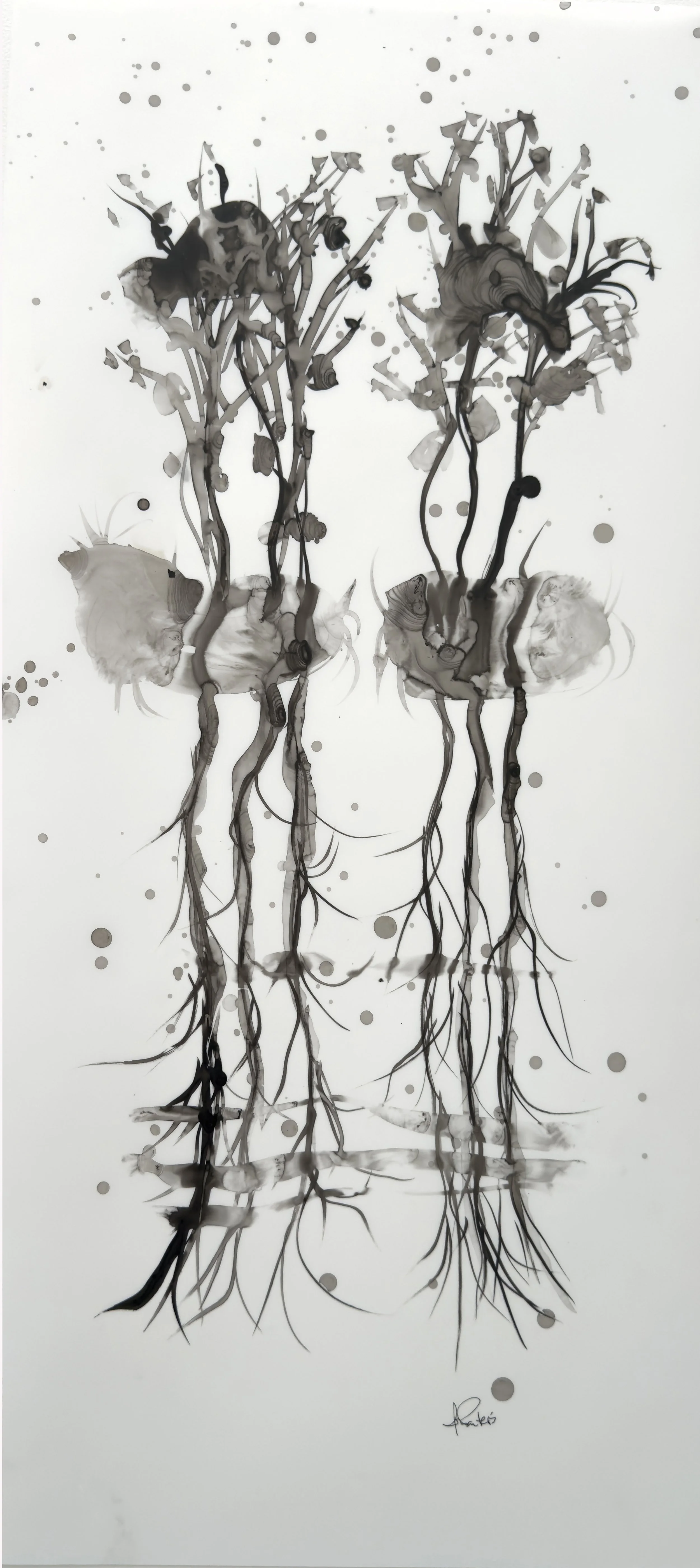 Willingly Divided (2025)