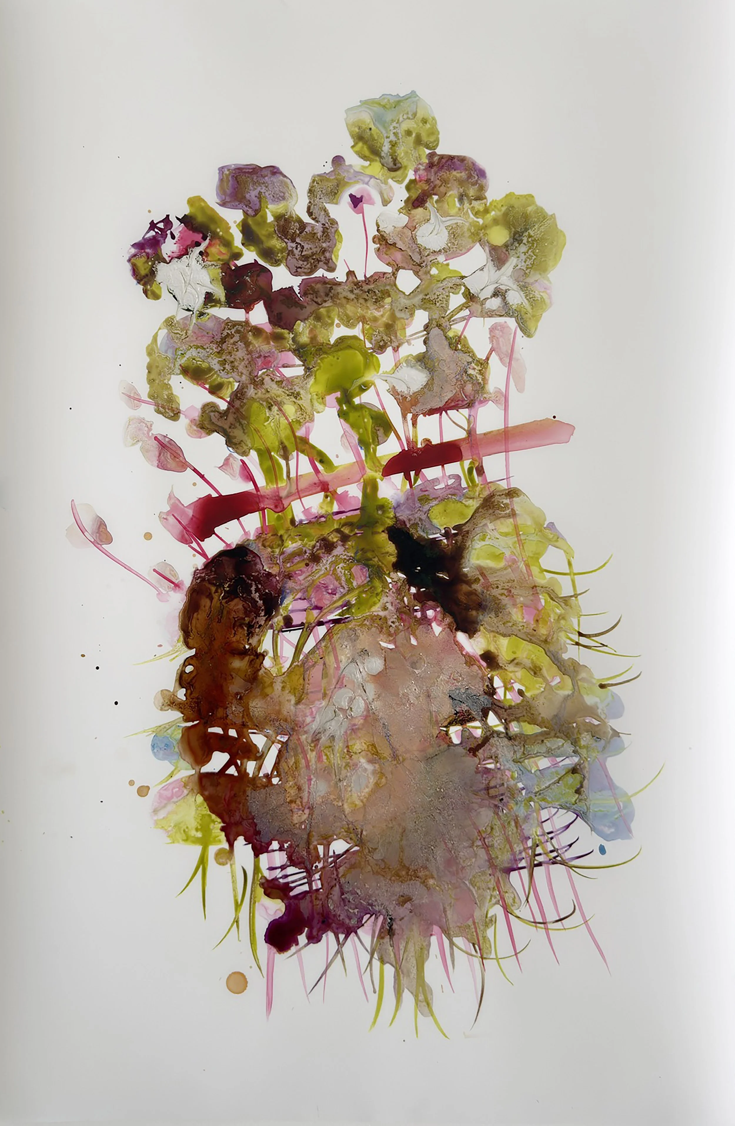 Royal Efforts (2026)