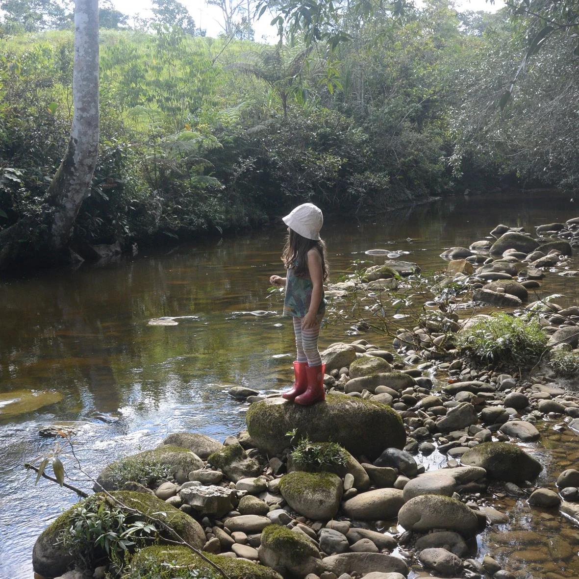 Going for Wild: Schooling in the Jungle