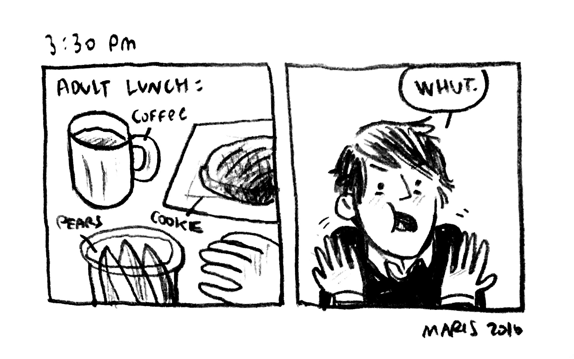 11_mw_2016_hourlies.jpg