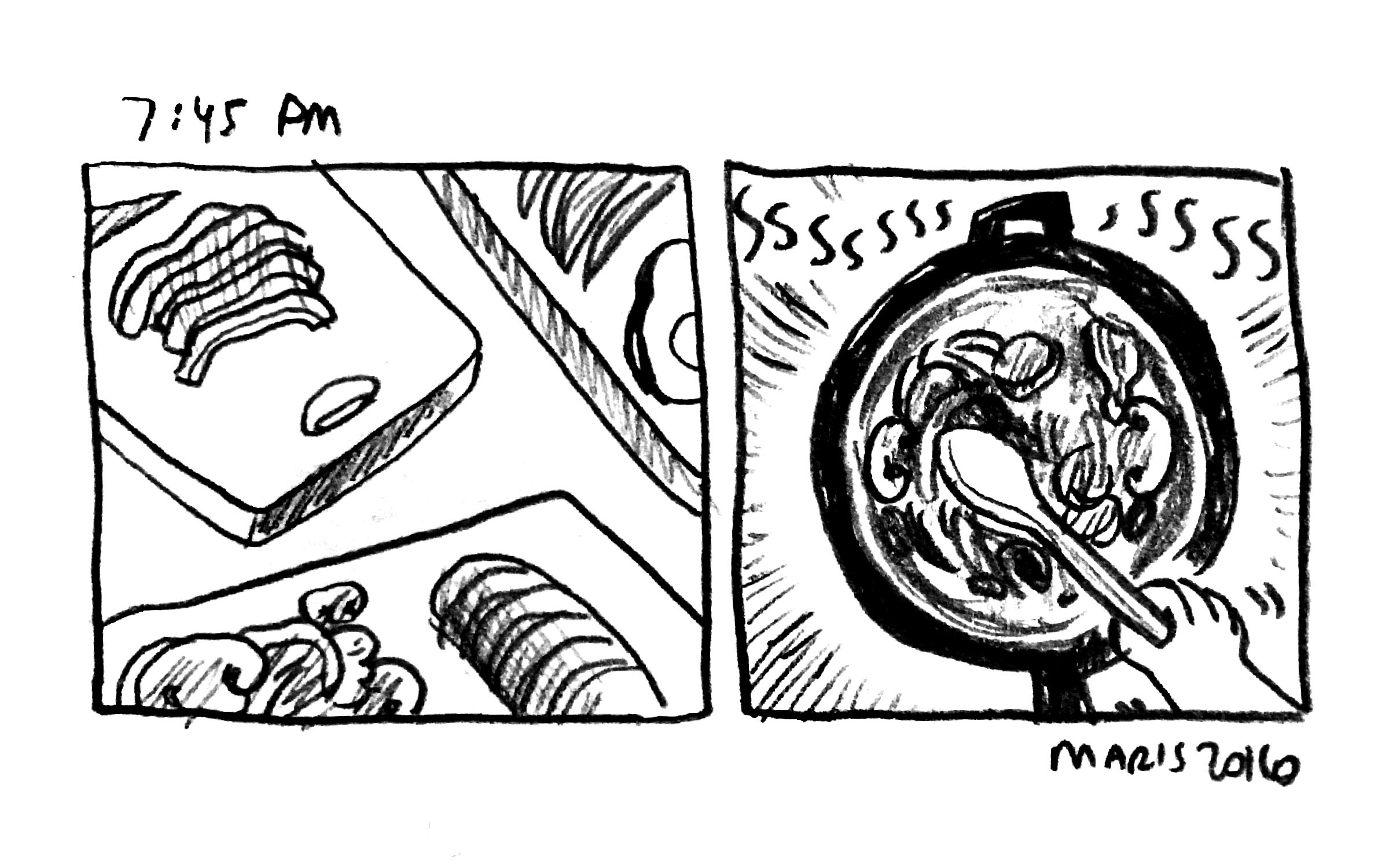 15_mw_2016_hourlies.jpg