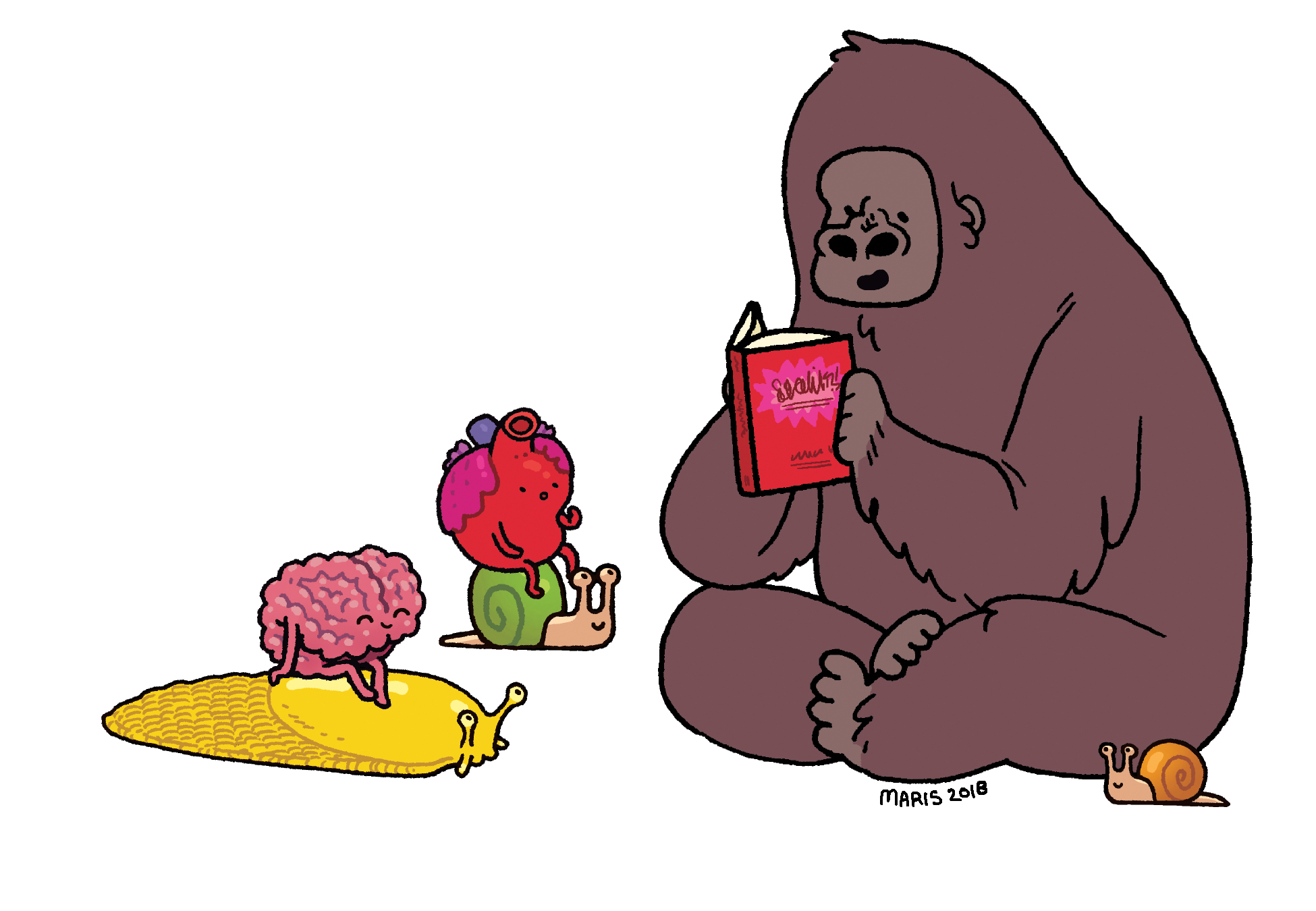 Write here…