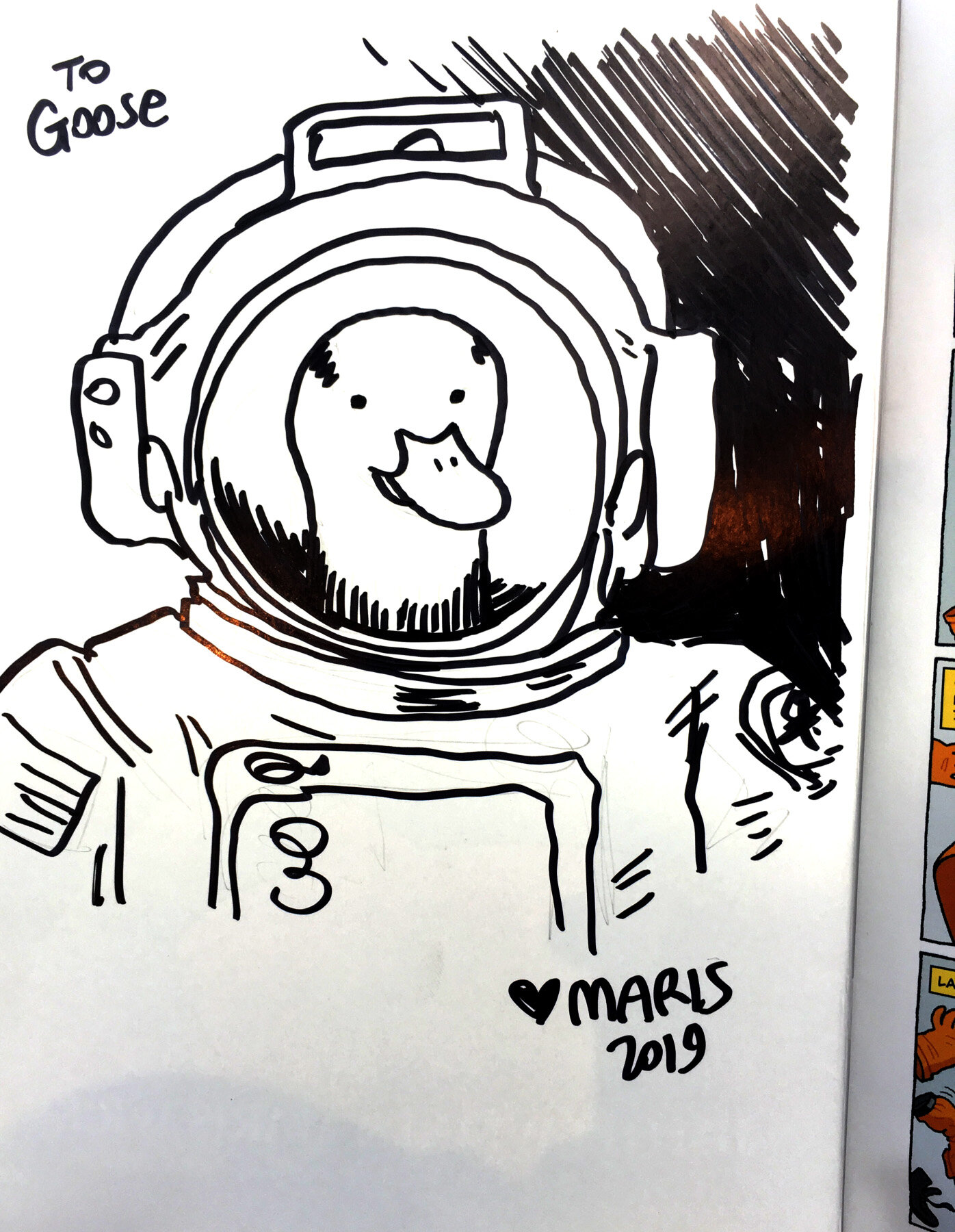 Bar-headed goose as an astronaut.
