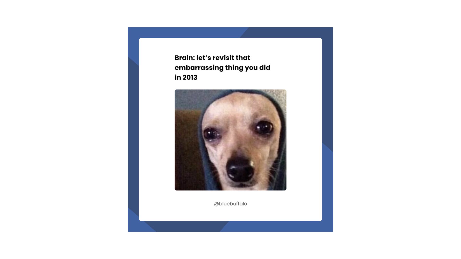 BLUE Portfolio.008.jpeg